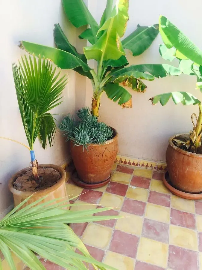 Guest house Ryad Bianco Marrakesh